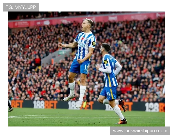 布莱顿社区活动获广泛好评,足球在社会中影响力持续提升